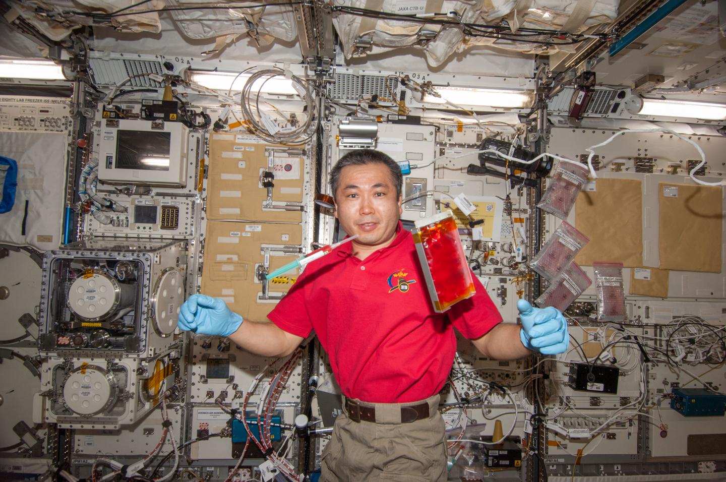 Koichi Wakata, JAXA
