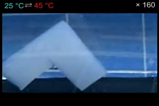 The Walking Hydrogel