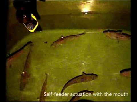 Cod Using Tools
