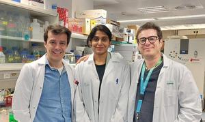 New advances in understanding how the most common form of childhood cancer originates