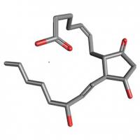 Prostaglandin E2