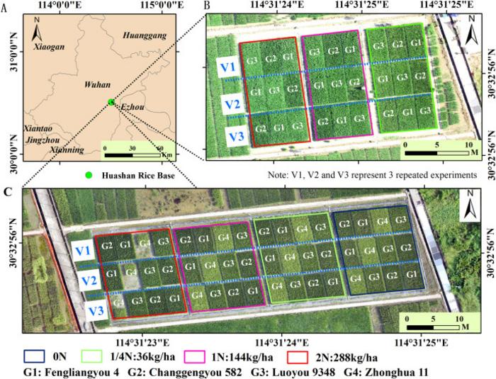 Figure 1. Study area and experimental design.