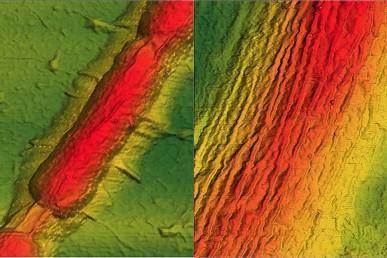 Graphene Ripples