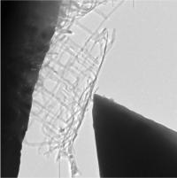 Nanonets Display Flexibility