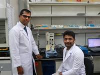 Researchers