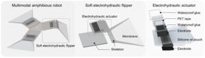 Structure of the multimodal amphibious robot