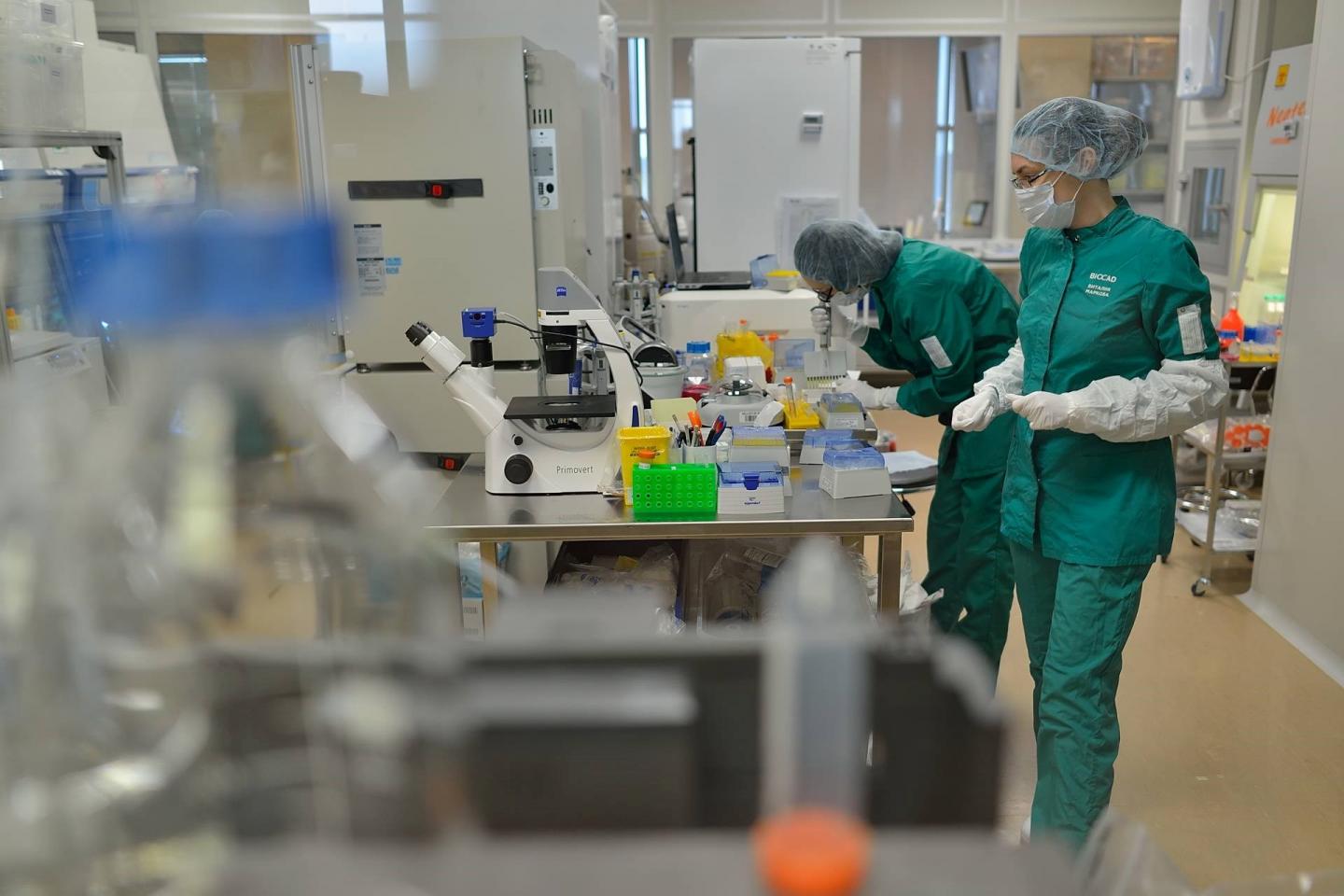 BIOCAD Registered New Drug Against Melanoma