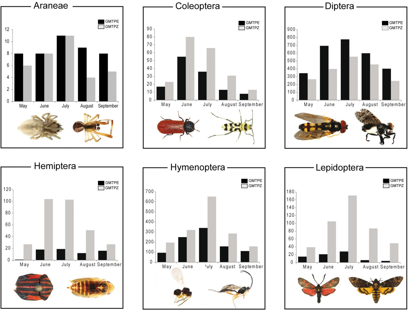 Number of BINs for 6 Major Arthropod Orders Versus Month for 2 Sample Locations