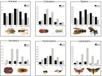Number of BINs for 6 Major Arthropod Orders Versus Month for 2 Sample Locations