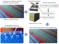 Customized Computing