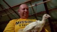 Reducing the Cost of Turkey Feed