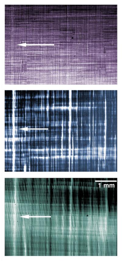 Silicon X-rays