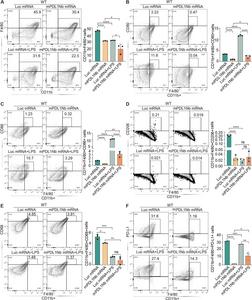 mPDL1Nb mRNA-LNP treatment inhibits BMDM differentiation and maturation and reduces PD-L1, CD80, CD86 and CD206 expression.