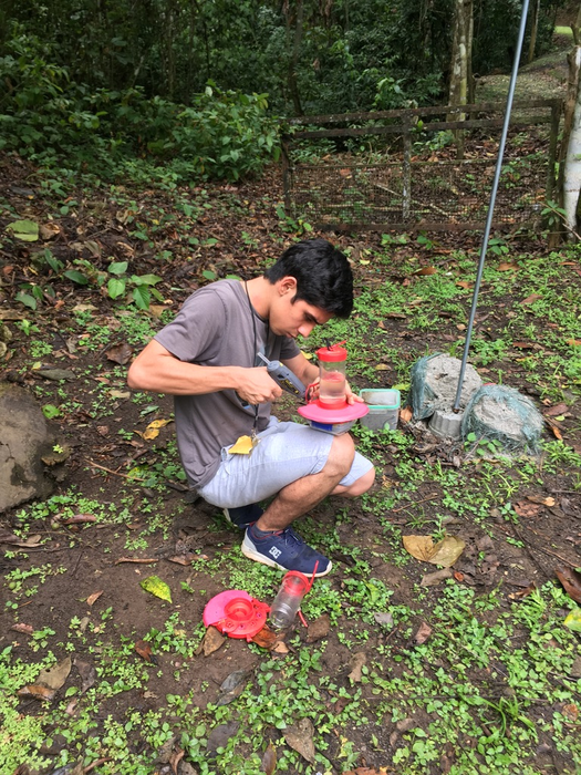 Field work in Panama