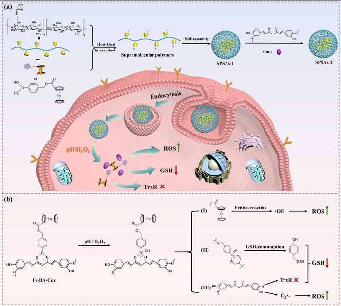 A GRAPHICAL ILLUSTRATION OF (A) CONSTRUCTION OF HOST-GUEST INTERACTIONS BASED SUPRAMOLECULAR SELF-ASSEMBLIES AND (B) THEIR THERAPEUTIC MECHANISM.