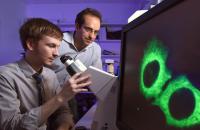 Ryan Golden and Dr. Joshua Mendell