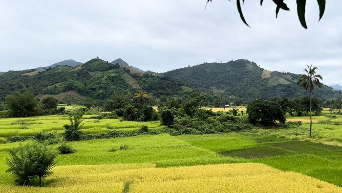 Madagascar landscape