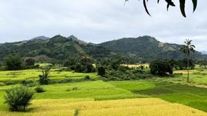 Madagascar landscape
