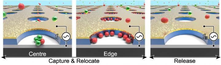 Nanogap Electrodes