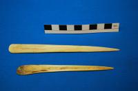 Fragments of Desiccated Archaeological Plant Tissues Attached to Wool and Fiber Strings