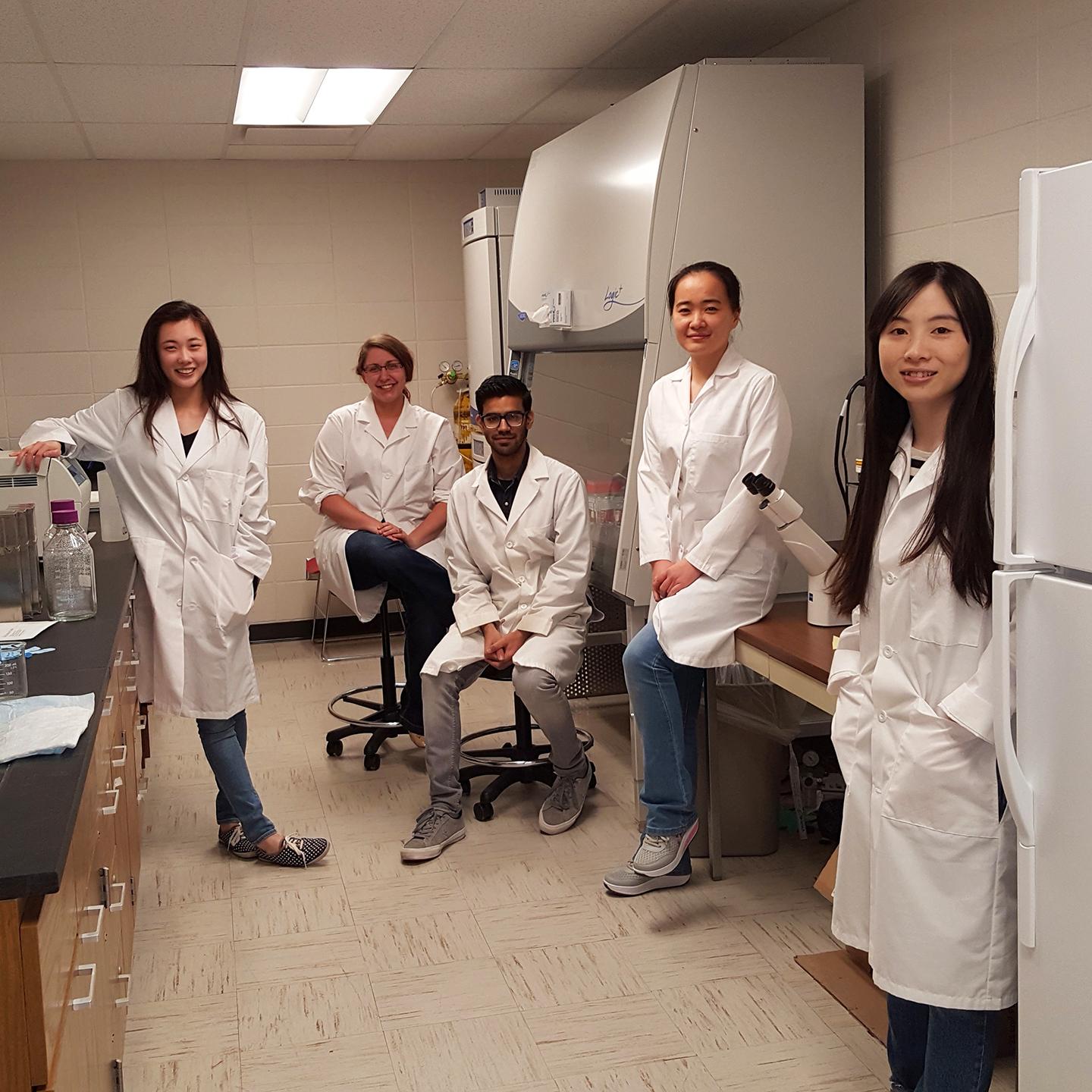 Zhao Research Team