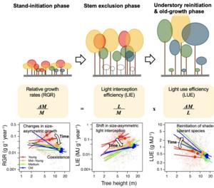 light competition - extra image