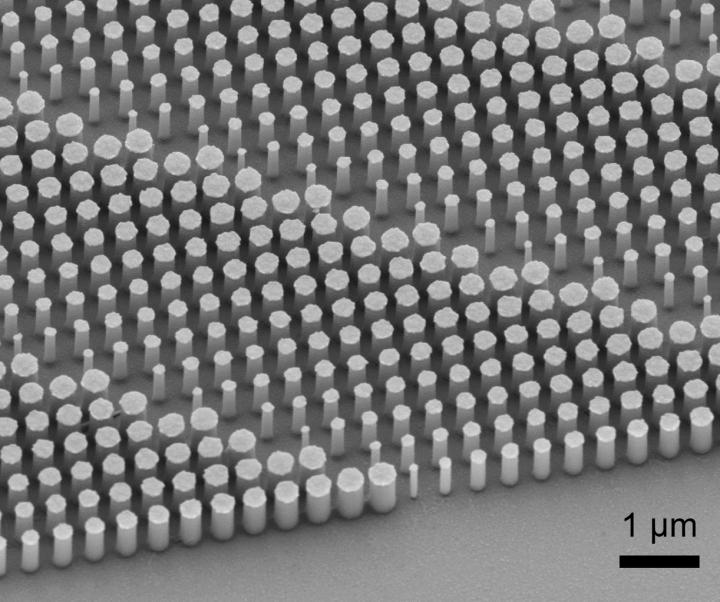 Scanning Electron Micrograph Image of a Portion of a Fabricated Metalens