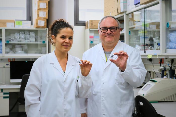 Researchers