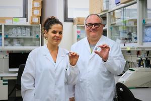 Researchers