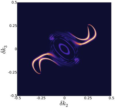 Fermion