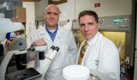 Keith Ligon and Mark Kieran, Dana-Farber/ Boston Children's Cancer and Blood Disorders Center