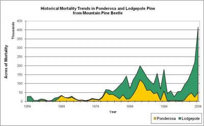 Pines Die in Washington