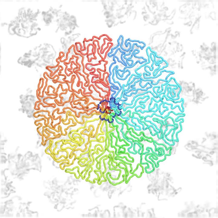 Illustration of DNA Folding During Cell Division