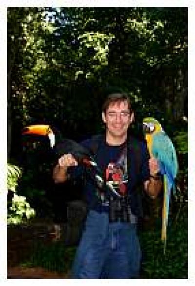 Macaws