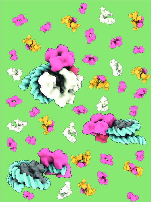 Cover art showing the nucleosome being bound by various cofactors and p53