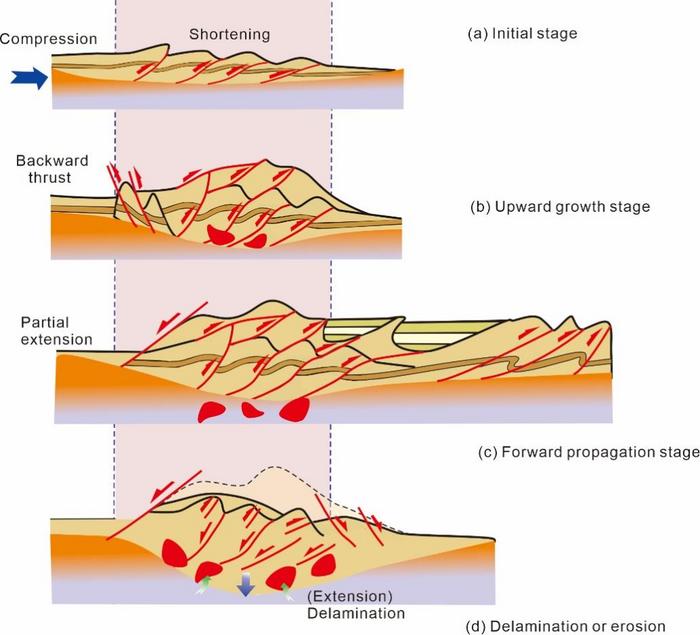 The formation of intracontinental compression orogens