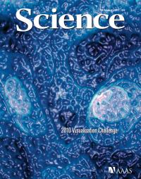 Mmixed Self-assembled Monolayer on a Gold Surface