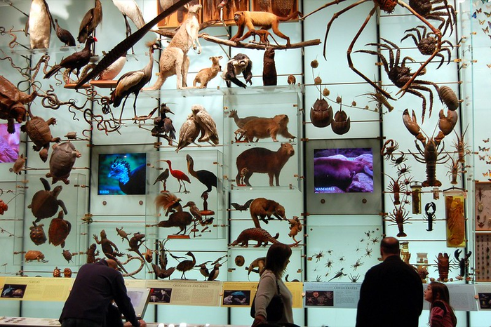 Increased and targeted biodiversity survey efforts needed to close persistent knowledge gaps