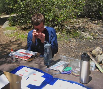 Paul Marek,   	 University of Arizona 