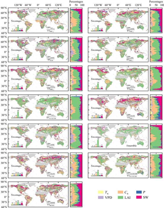 Global spatial distribution of the dominant factors of the 13 representative eWUEs from 2001 to 2015.