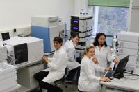 Gerner and Team
