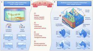 Frameworks of ecological risk assessments.