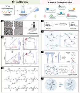 FIG. 2. ILLUSTRATION OF PHYSICAL AND CHEMICAL MODIFICATION STRATEGIES OF POLYSACCHARIDES.