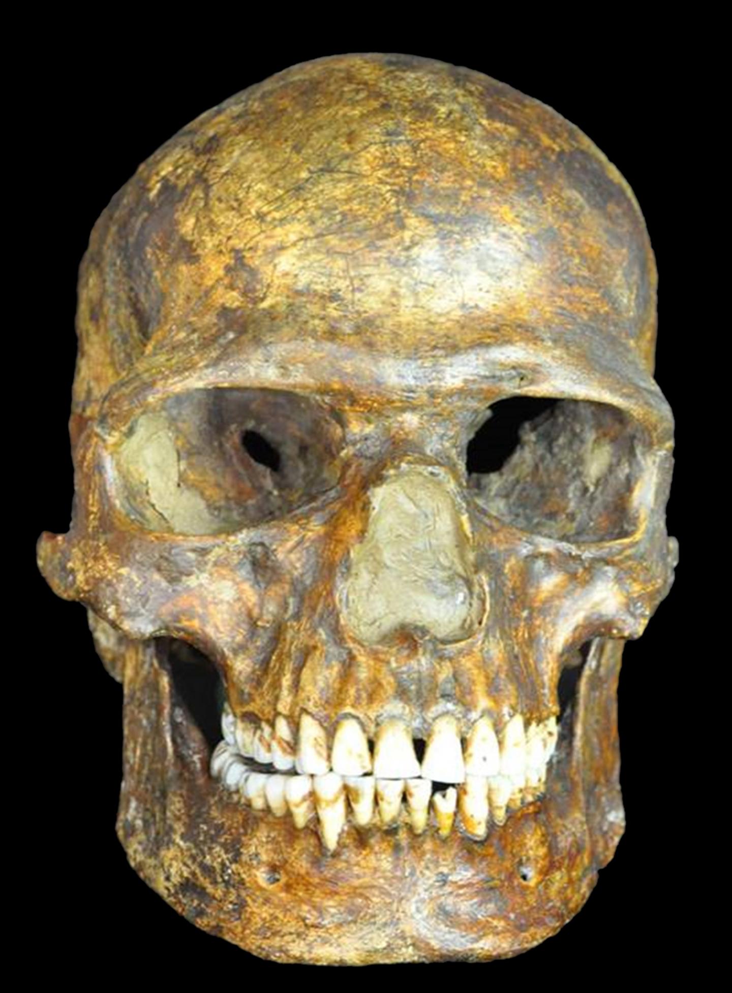 Kostenki Fossil