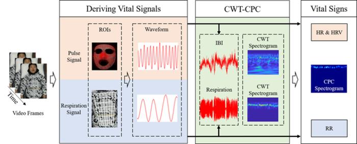 Principle of Video-Based Cardiopulmonary Coupling Monitoring