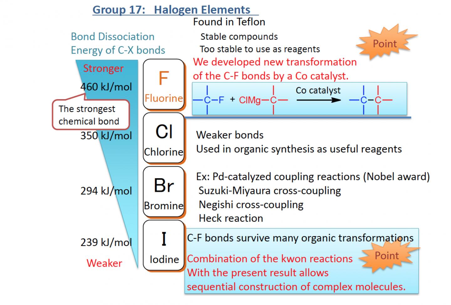 Figure 1. Outline