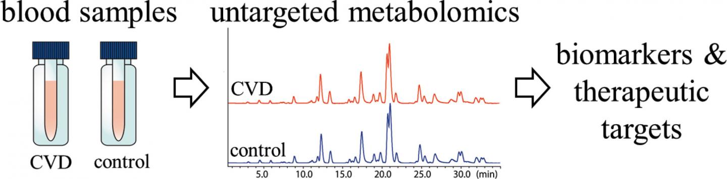 Novel Biomarkers and Therapeutic Targets for Atherosclerotic Cardiovascular Diseases