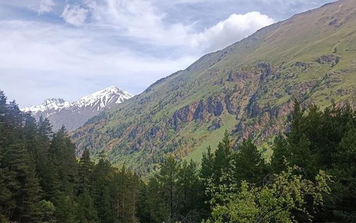 Dense forest landscape near Mount Elbrus in Northern Eurasia (southern part)