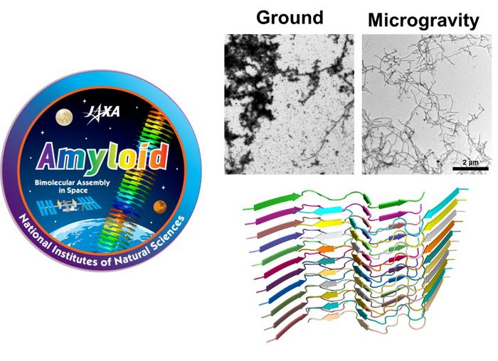 Space-Grown Amyloids