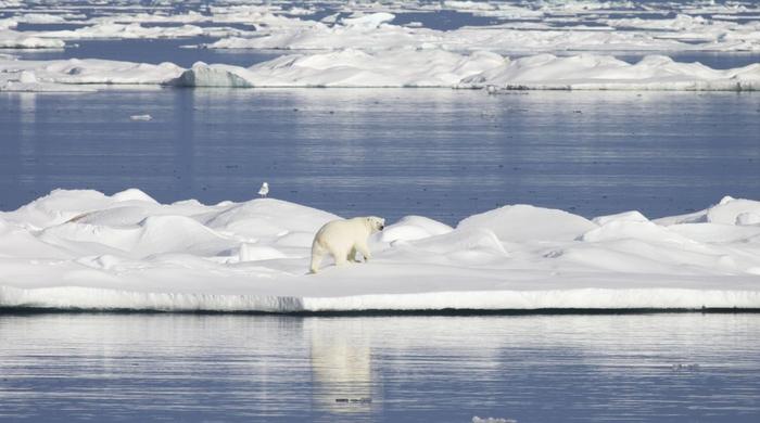 Clouding the forecast: study reveals why so many climate models are wrong about the rate of Arctic warming